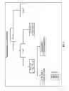Fig. 07 - Systems and methods for campaign offers and rewards with offer serving engine based on digitized receipt data
