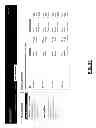 Fig. 21 - Computer-Implemented Systems and Methods for Facilitating the Distribution of Advertisements
