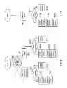 Fig. 09 - MOBILE DATA NETWORK