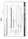 Fig. 05 - SYSTEM AND METHOD FOR DETERMINATION AND REPORTING OF CREDIT USE AND IMPACT ON CREDIT SCORE