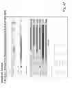 Fig. 40 - SYSTEMS AND METHODS FOR HOUSEHOLD CASH MANAGEMENT SYSTEM
