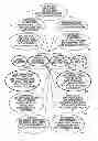 Fig. 01 - Data management system