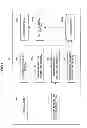 Fig. 02 - INFORMATION PROCESSING APPARATUS, INFORMATION PROCESSING METHOD, PROGRAM, AND RECORDING MEDIUM