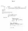 Fig. 06 - CONTENT DISTRIBUTION SYSTEM, SCRIPT GENERATION DEVICE, TERMINAL, CONTENT DISTRIBUTION METHOD, AND CONTENT DISTRIBUTION PROGRAM