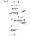 Fig. 03 - Method, system, client and server for locating operation nodes in communication system