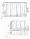 Fig. 06 - System and method to reduce memory access latencies using selective replication across multiple memory ports