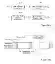 Fig. 23 - Flash memory apparatus and methods using a plurality of decoding stages including optional use of concatenated BCH codes and/or designation of “first below” cells