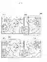 Fig. 14 - VIEWER UNIT, SERVER UNIT, DISPLAY CONTROL METHOD, DIGITAL COMIC EDITING METHOD AND NON-TRANSITORY COMPUTER-READABLE MEDIUM