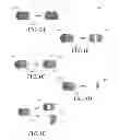 Fig. 02 - Merging and fragmenting graphical objects