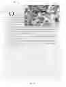 Fig. 83 - Interactive electronic book