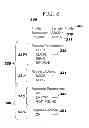 Fig. 03 - Interface Profiles for Customizing Application Programming Interface Behavior