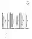 Fig. 08 - AUDIO-BASED SYNCHRONIZATION TO LIVE MEDIA BROADCASTS