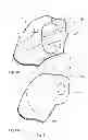 Fig. 09 - SANITARY HAND COVERING