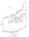 Fig. 45 - Golf shoe with natural motion structures