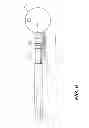 Fig. 07 - Fly Rod and Reel System