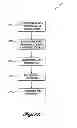 Fig. 18 - ESSENTIAL OILS AND THEIR COMPOUNDS AS STINK BUG REPELLENTS