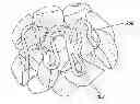 Fig. 01 - FUEL GEL