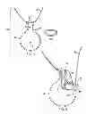 Fig. 02 - Wearable device for jewelry ring storage