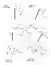 Fig. 02 - Apparatus and methods for orienting, stabilizing, or stably operating a logging tool