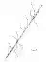 Fig. 05 - Apparatus and methods for orienting, stabilizing, or stably operating a logging tool