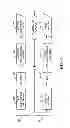 Fig. 02 - Test system for measuring and evaluating dynamic body forces