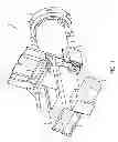 Fig. 02 - FLUFF PACK PORTIONING APPARATUS