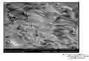 Fig. 01 - Composition for construction materials manufacturing and the method of its production