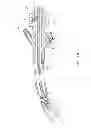 Fig. 06 - Endotracheal tube coupling adapters