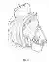 Fig. 20 - Full face respiratory mask with integrated nasal interface