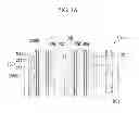 Fig. 02 - SOLAR CELL AND MANUFACTURING METHOD THEREOF
