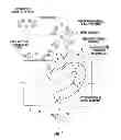 Fig. 02 - Perforated graphene deionization or desalination