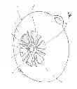 Fig. 08 - Cooking lid