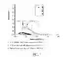 Fig. 08 - Organic light-emitting diode display device having deep and sky blue sub-pixels