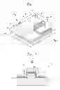 Fig. 02 - Waveguide-integrated graphene photodetectors