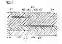 Fig. 06 - Semiconductor device having a fuse element
