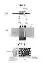 Fig. 05 - Process and apparatus for producing sheet-shaped prepreg