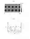 Fig. 10 - METHOD OF TOPOGRAPHICAL AND ELECTRICAL NANOSTRUCTURATION OF A THIN FILM OF ELECTRET POLYMER AND THIN FILM OF ELECTRET POLYMER OBTAINED
