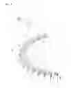 Fig. 06 - Stator assembly for motor having hall sensor part fixed to end of tooth of stator