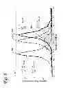 Fig. 07 - Detection of reinforcement metal corrosion
