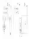 Fig. 06 - REGULATED POWER SUPPLY VOLTAGE FOR DIGITAL CIRCUITS