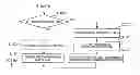 Fig. 01 - Radar apparatus with different operation modes