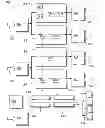 Fig. 01 - DMA CONTROL OF A DYNAMICALLY RECONFIGURABLE PIPELINED PRE-PROCESSOR