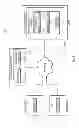 Fig. 02 - Visualization of virtual image relationships and attributes