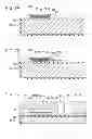 Fig. 08 - Liquid ejecting head, liquid ejecting apparatus and piezoelectric element