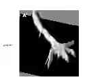 Fig. 06 - CONSTRUCTING A 3-DIMENSIONAL IMAGE FROM A 2-DIMENSIONAL IMAGE AND COMPRESSING A 3-DIMENSIONAL IMAGE TO A 2-DIMENSIONAL IMAGE