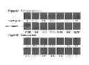 Fig. 07 - Constructing a 3-dimensional image from a 2-dimensional image and compressing a 3-dimensional image to a 2-dimensional image