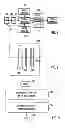 Fig. 02 - Apparatus and method for forming new images by determining stylistic settings of existing images