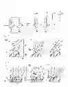 Fig. 02 - Liquid crystal display device and polymer for alignment film materials