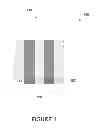 Fig. 02 - Fabrication of low defectivity electrochromic devices