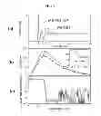 Fig. 09 - Terahertz band filter